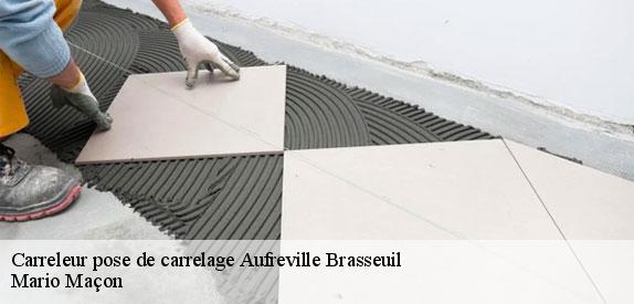 Carreleur pose de carrelage  aufreville-brasseuil-78930 Mario Maçon