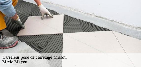 Carreleur pose de carrelage  chatou-78400 Mario Maçon