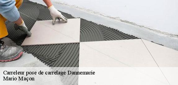 Carreleur pose de carrelage  dannemarie-78550 Mario Maçon