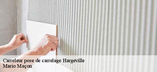 Carreleur pose de carrelage  78790