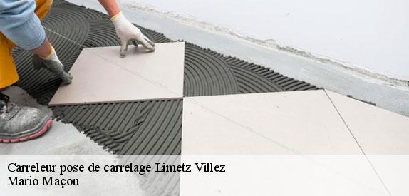 Carreleur pose de carrelage  limetz-villez-78270 Mario Maçon