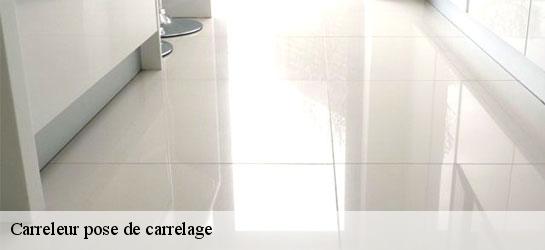 Carreleur pose de carrelage  78470