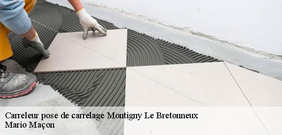 Carreleur pose de carrelage  montigny-le-bretonneux-78180 Mario Maçon