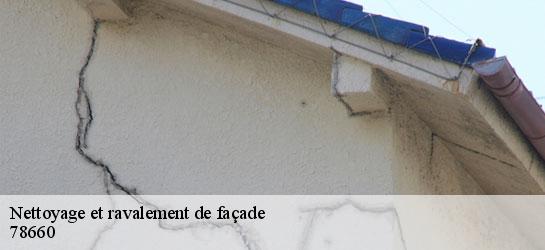 Nettoyage et ravalement de façade  78660