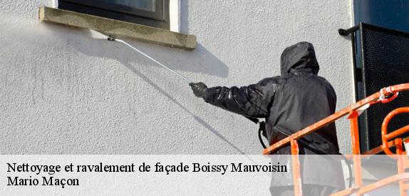 Nettoyage et ravalement de façade  boissy-mauvoisin-78200 Mario Maçon